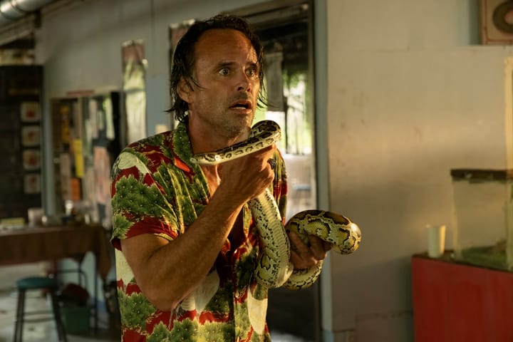 "The  White Lotus”: “Shit’s About to Get Crazy”?